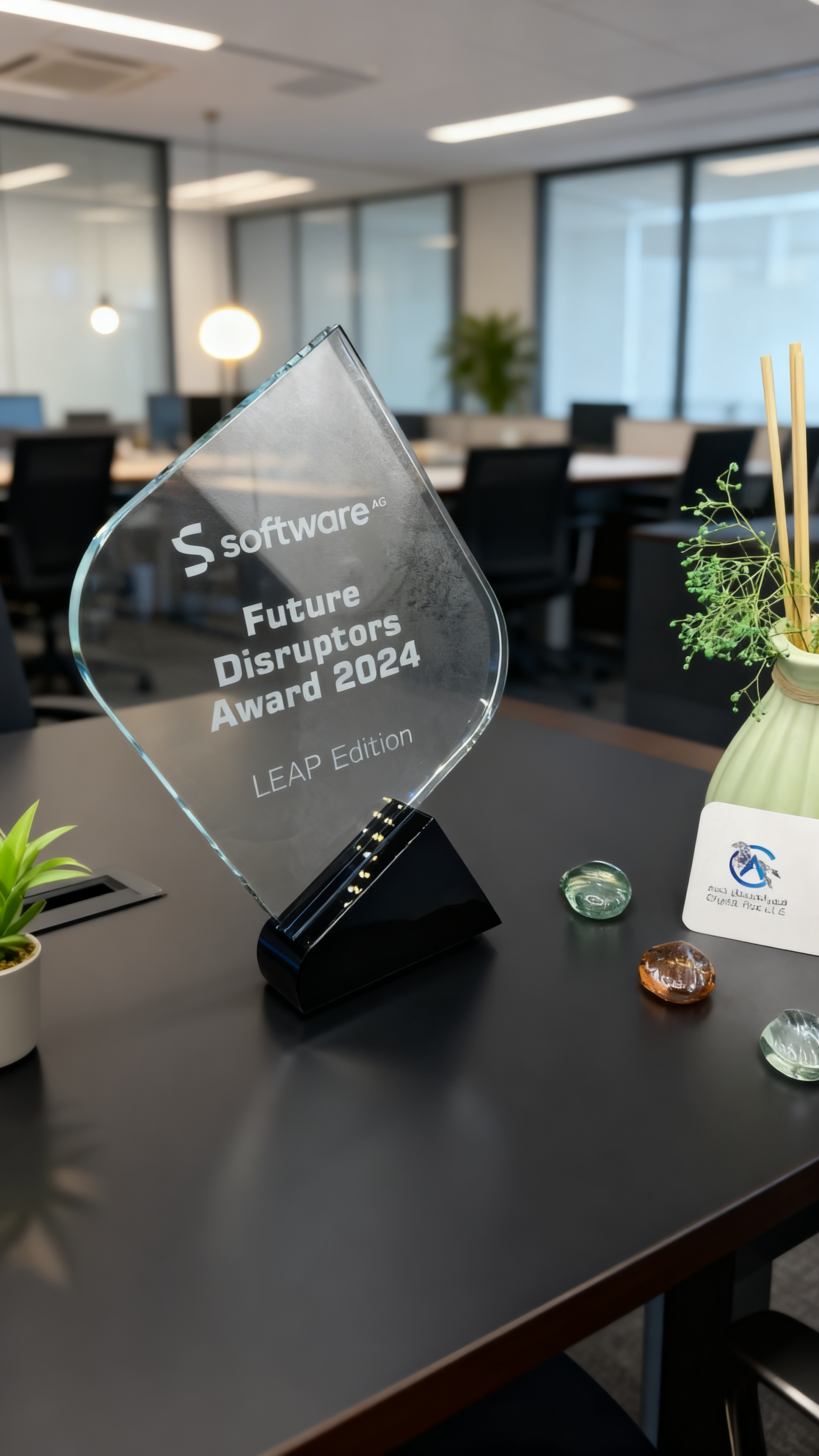 Crystal Diamond Award view 3