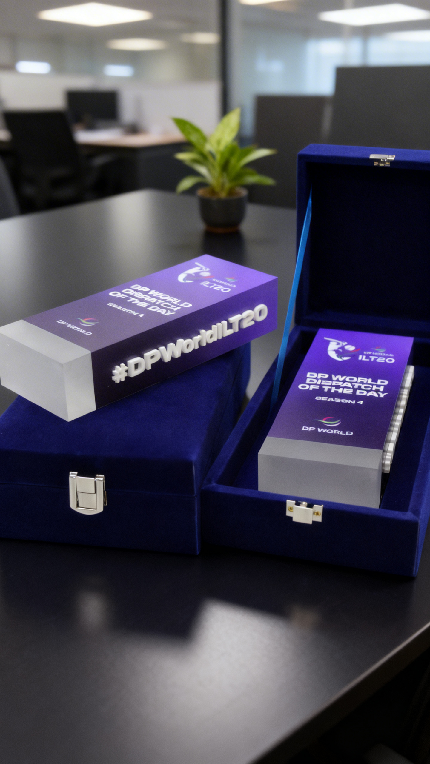 Custom awards display showcase